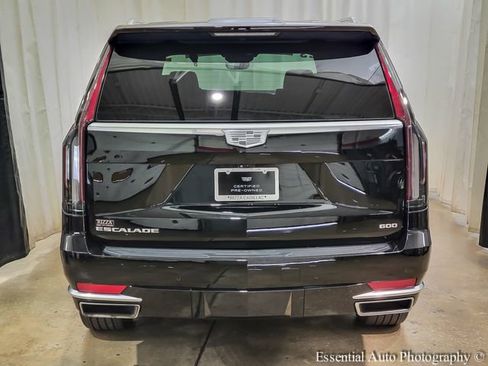 Used 2023 Cadillac Escalade Premium Luxury w/ LPO, Radiant Package AWD/4WD image 6