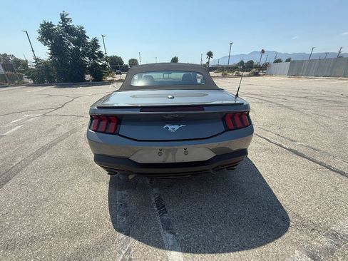 Used 2025 Ford Mustang Premium RWD image 5