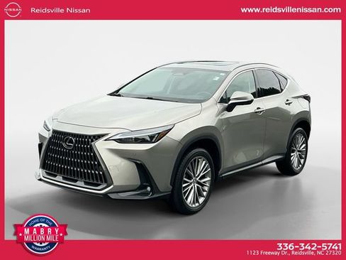 Used 2025 Lexus NX 350 AWD w/ Cold Area Package image 1