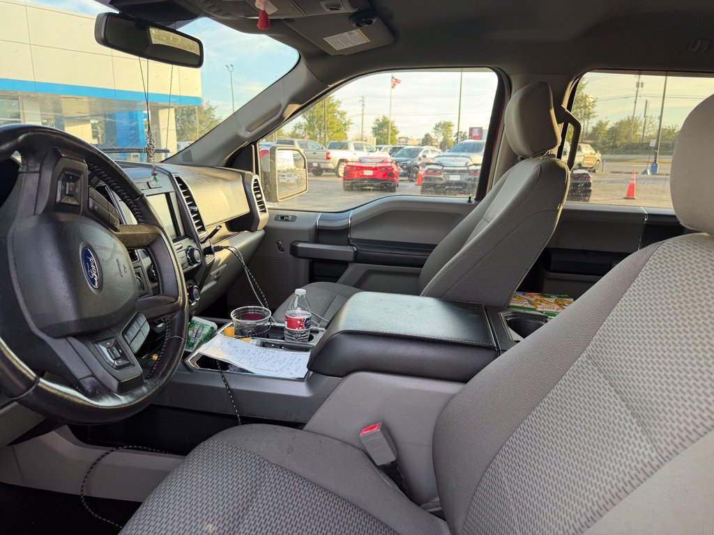 Used 2019 Ford F150 XLT w/ Equipment Group 302A Luxury AWD/4WD image 6