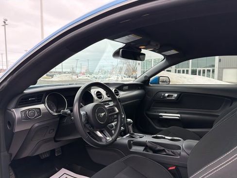 Used 2021 Ford Mustang GT w/ Equipment Group 301A image 14