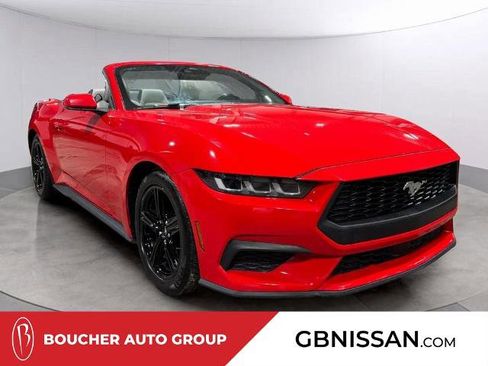 Used 2024 Ford Mustang Premium image 1