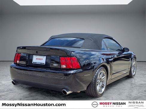 Used 2003 Ford Mustang Cobra RWD image 7