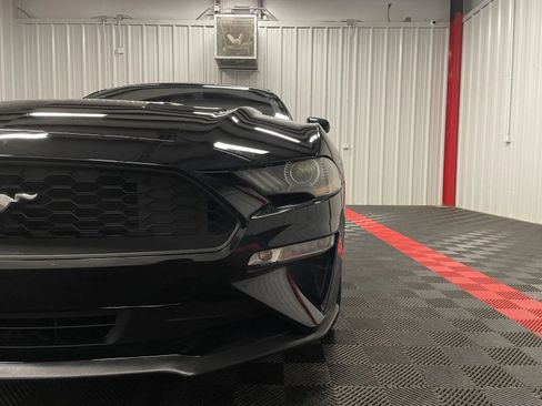 Used 2019 Ford Mustang Premium image 12