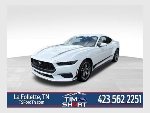 New 2025 Ford Mustang Coupe w/ Wheel & Stripe Package image 1