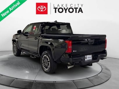 New 2025 Toyota Tacoma TRD Sport