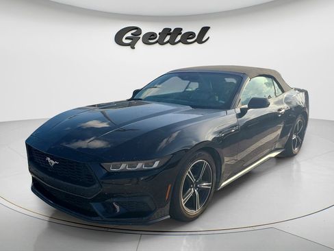 Used 2024 Ford Mustang Premium RWD image 1