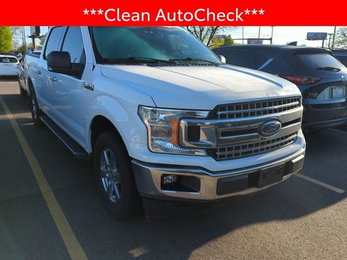 Used 2019 Ford F150 XLT w/ Equipment Group 301A Mid image 3
