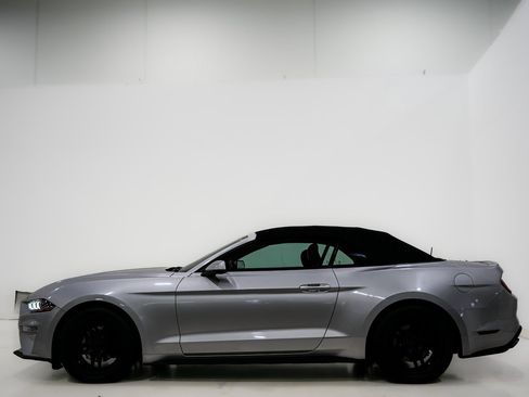 Used 2019 Ford Mustang Premium image 8