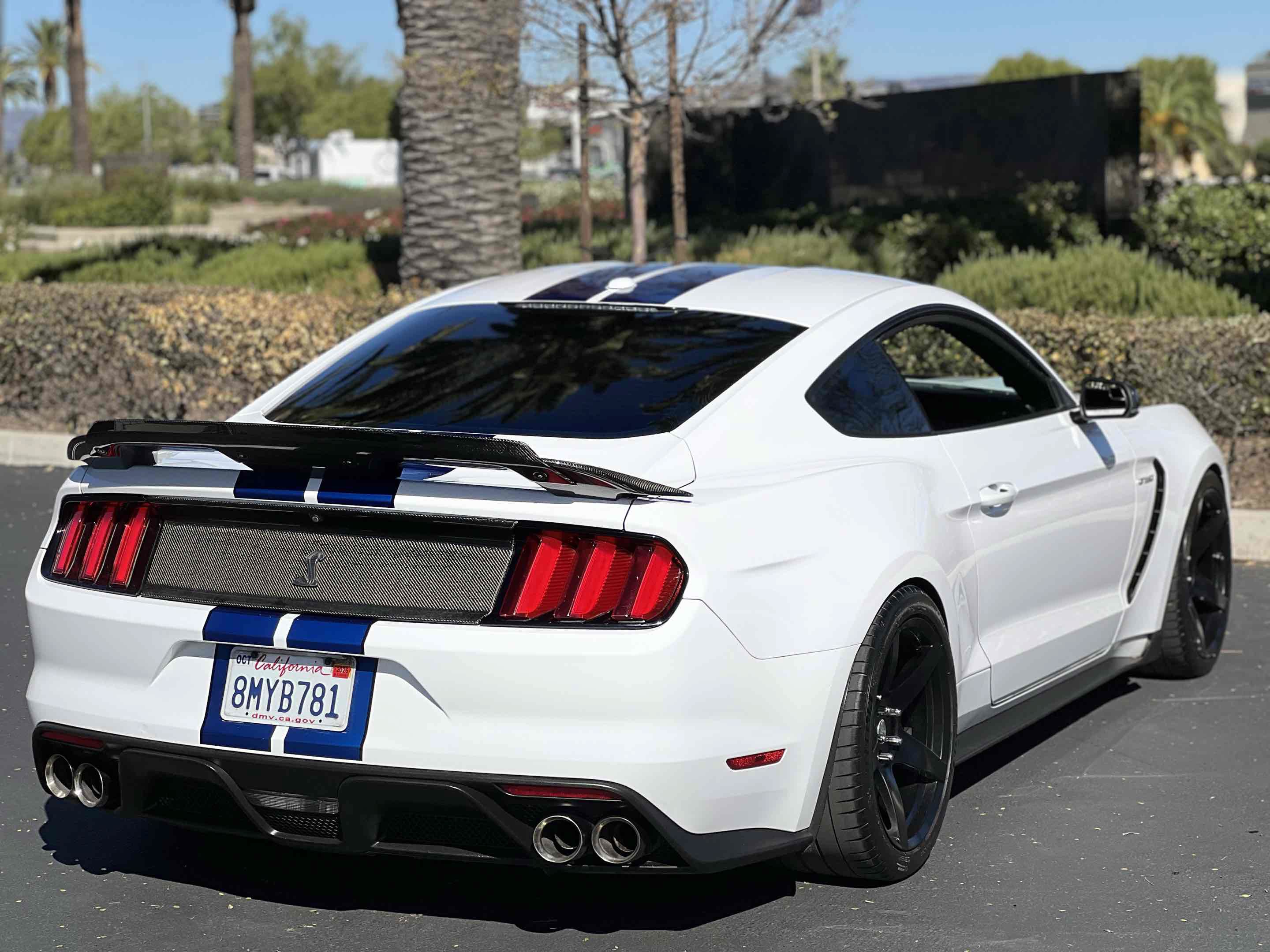 Used 2017 Ford Mustang Shelby GT350 RWD image 24