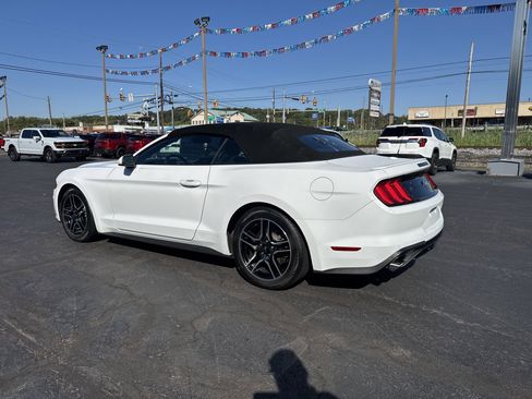 Used 2023 Ford Mustang Premium image 6