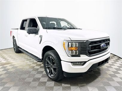 Used 2023 Ford F150 XLT w/ Equipment Group 302A High