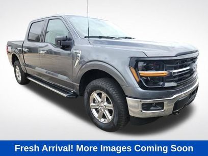 Used 2025 Ford F150 XLT w/ Equipment Group 301A Standard