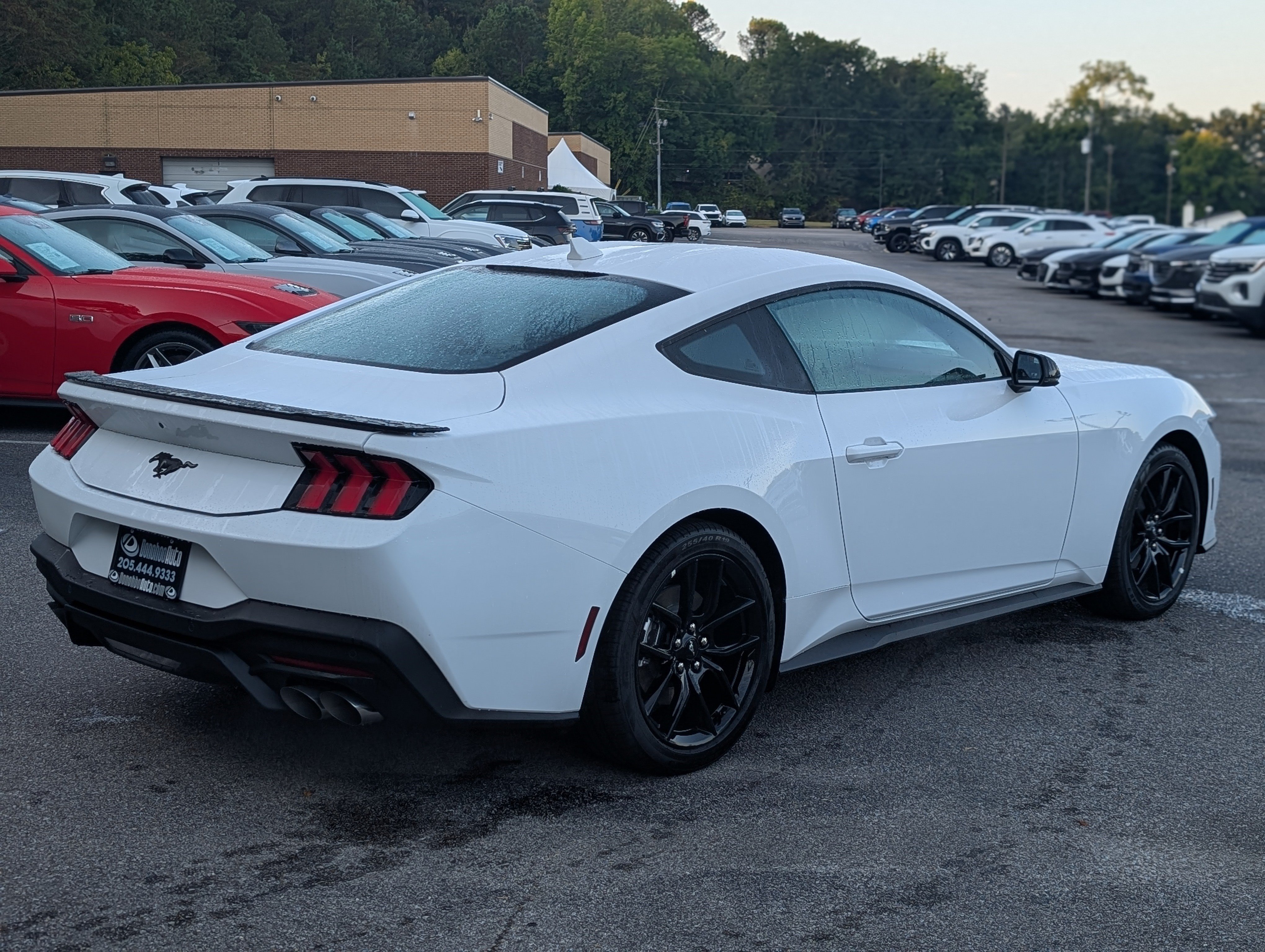 Used 2026 Ford Mustang Premium RWD image 9