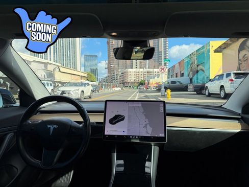 Used 2019 Tesla Model 3 Standard Range RWD image 19