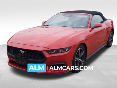 Used 2024 Ford Mustang Premium