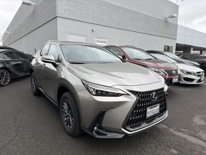 Used 2025 Lexus NX 350h AWD w/ Cold Area Package