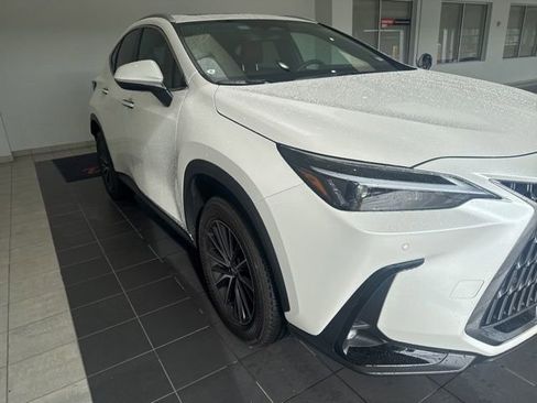 Used 2025 Lexus NX 250 FWD w/ Accessory Package (2T) image 5