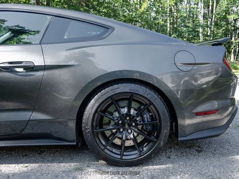 Used 2015 Ford Mustang Shelby GT350 RWD image 5