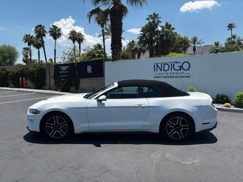 Used 2019 Ford Mustang Premium RWD image 8