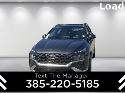 Used 2023 Hyundai Santa Fe Calligraphy