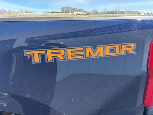 Used 2024 Ford F350 Platinum w/ Tremor Off-Road Package image 13