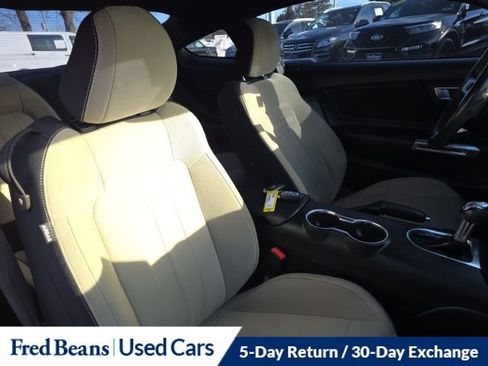 Used 2019 Ford Mustang GT w/ Black Accent Package image 12