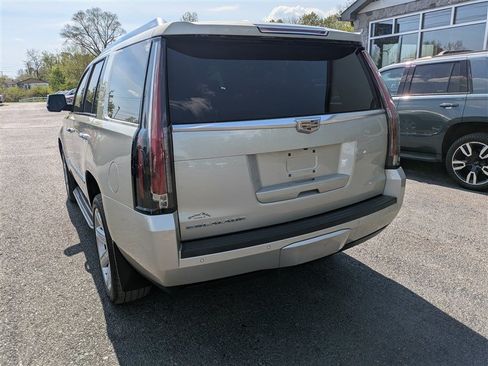 Used 2016 Cadillac Escalade Luxury AWD/4WD image 5