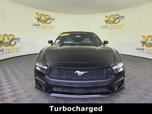 Used 2024 Ford Mustang Premium RWD image 3