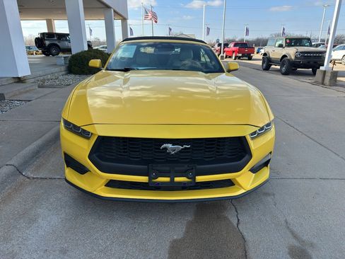 Used 2024 Ford Mustang Premium image 8