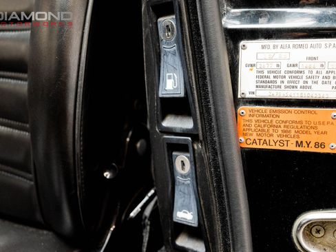 Used 1986 Alfa Romeo Spider Veloce image 88