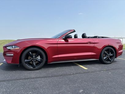 Used 2022 Ford Mustang Premium w/ Equipment Group 201A
