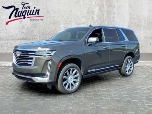 Used 2021 Cadillac Escalade Premium Luxury Platinum AWD/4WD image 1