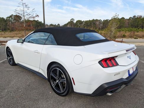 Used 2024 Ford Mustang Premium image 15