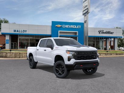 New 2026 Chevrolet Silverado 1500 Custom Trail Boss