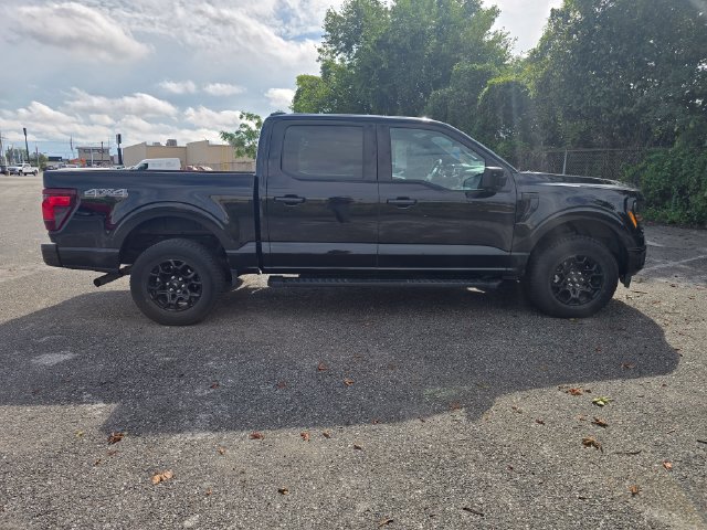 Used 2024 Ford F150 XLT w/ XLT Black Appearance Package AWD/4WD image 3