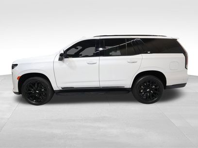 Certified 2024 Cadillac Escalade Sport w/ LPO, ONYX Package