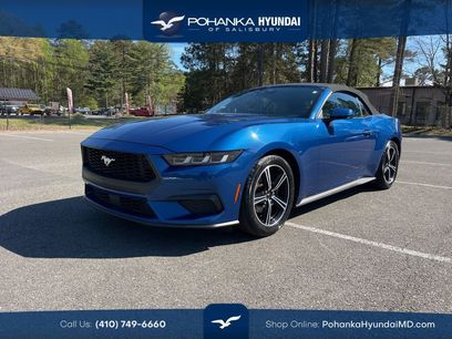 Used 2024 Ford Mustang Premium