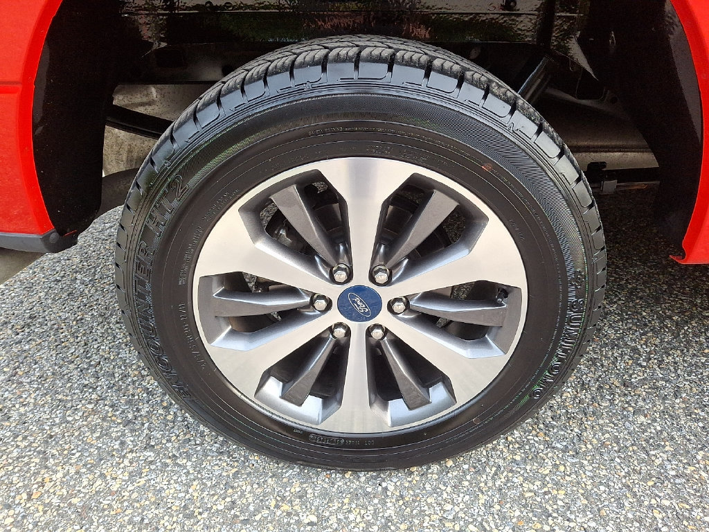 Used 2019 Ford F150 XL w/ Equipment Group 101A Mid AWD/4WD image 6