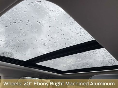 Used 2025 Ford Expedition Max Platinum image 17