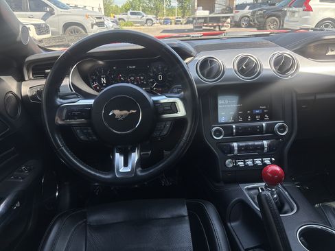 Used 2019 Ford Mustang GT Premium w/ Equipment Group 401A RWD image 2