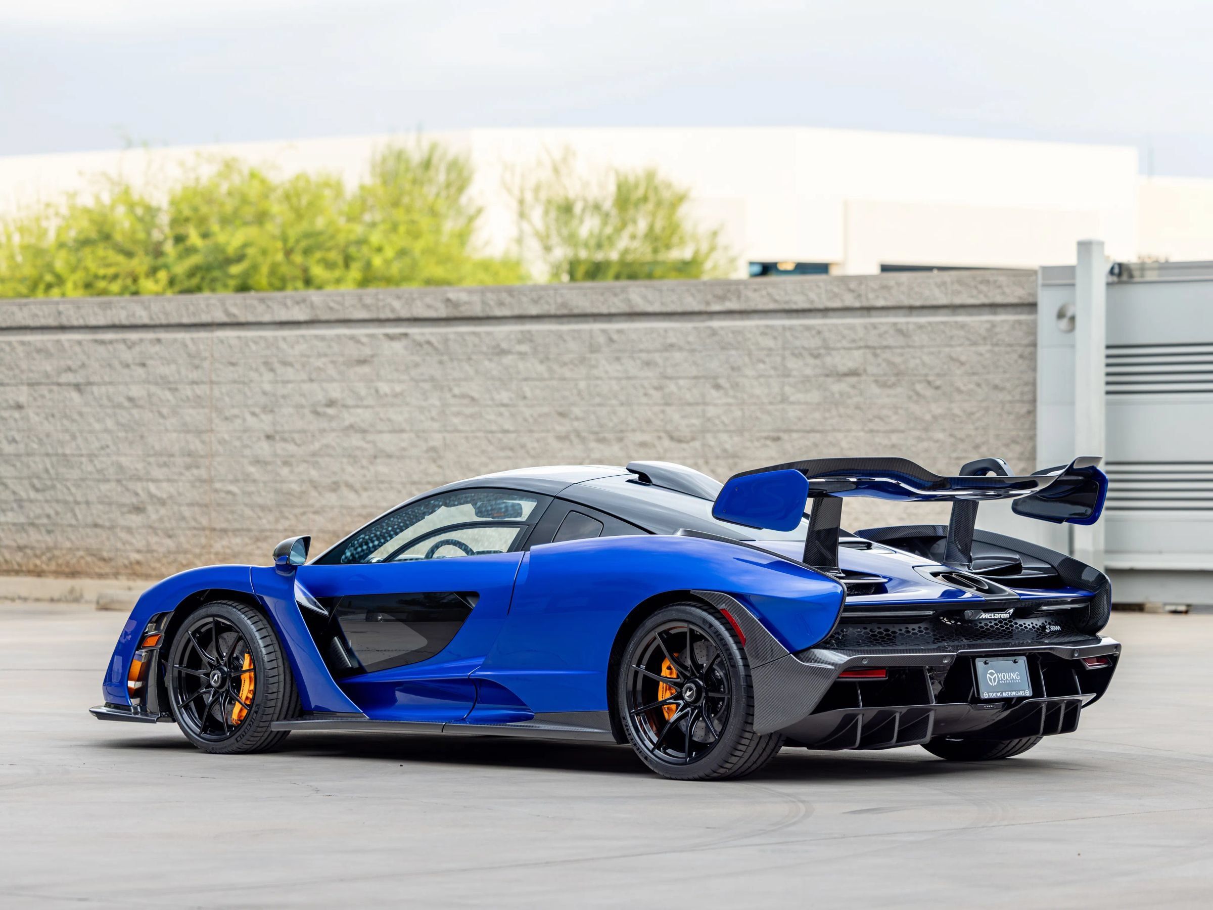 Used 2019 McLaren Senna RWD image 6