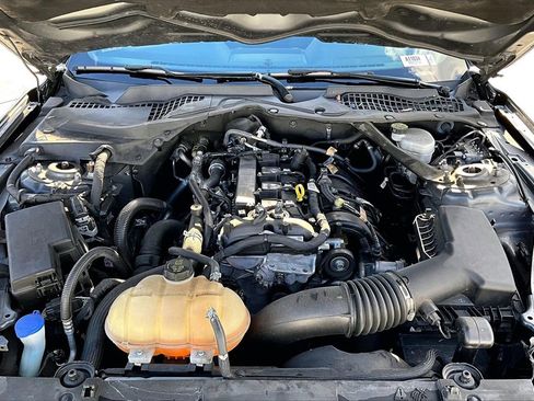 Used 2022 Ford Mustang EcoBoost w/ Equipment Group 101A image 11