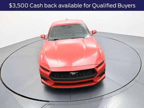 New 2025 Ford Mustang EcoBoost image 19