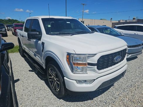 Used 2021 Ford F150 XL w/ STX Appearance Package AWD/4WD image 6