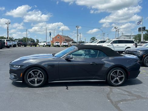 Used 2024 Ford Mustang Premium image 6