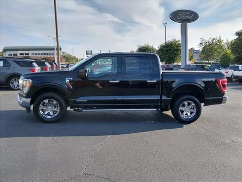 Used 2023 Ford F150 XLT w/ Equipment Group 302A High AWD/4WD image 7