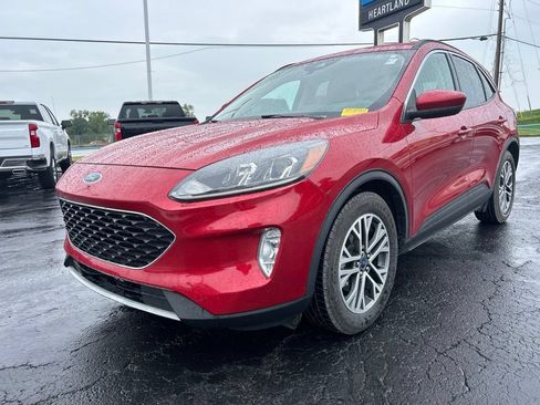 Used 2020 Ford Escape SEL FWD image 1