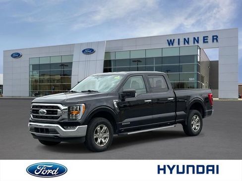 Used 2023 Ford F150 XLT w/ Equipment Group 302A High AWD/4WD image 1