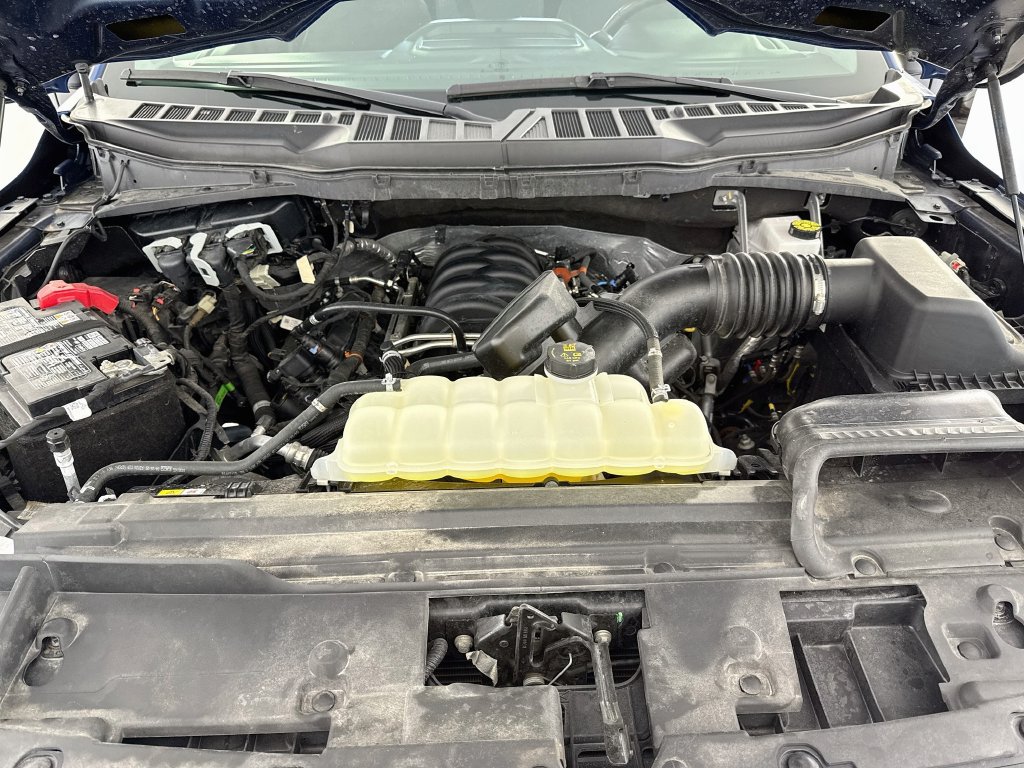 Used 2025 Ford F150 XLT w/ Equipment Group 301A Standard AWD/4WD image 27